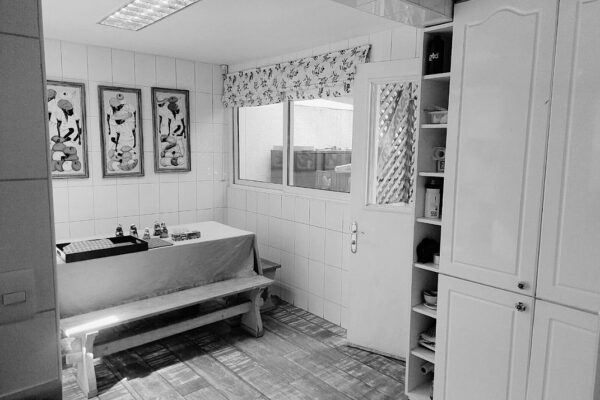 Diseño sin título - 1